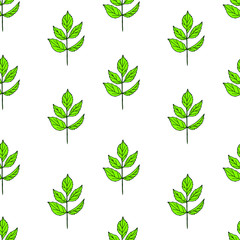 Bright pattern of green leaves on a white background. Gives a feeling of freshness and proximity to nature. Great for prints on textiles and stationery.