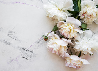 Background with pink peonies