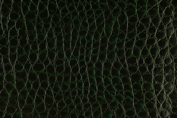 Artificial textured leather background synthetics closeup macro