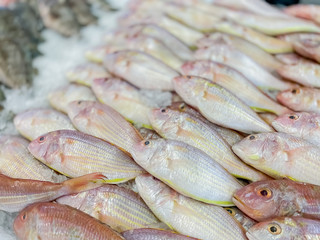 Close up freshness fish on ice for sale in the market food and drink backgrounds