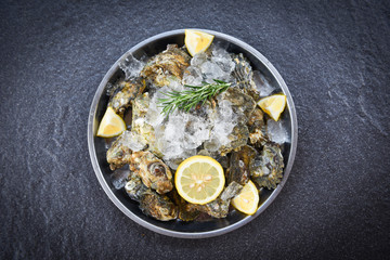 Oyster shell with herb spices lemon rosemary served table and ice healthy sea food raw oyster dinner in the restaurant gourmet food - Fresh oysters seafood on plate black background