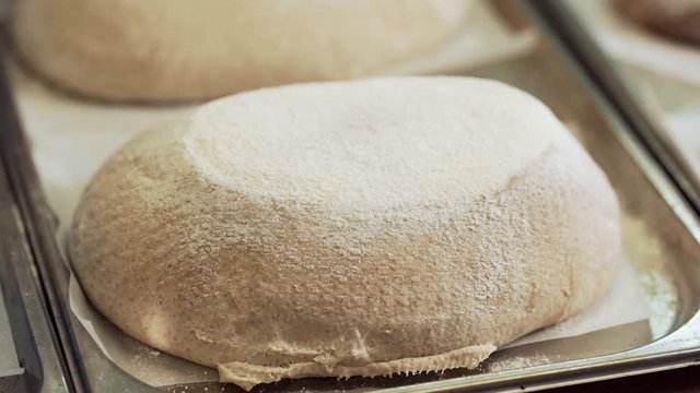 The baker wipes the bread from the flour before baking