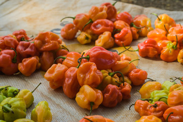 Piments antillais en vrac sur un marché de Mayotte