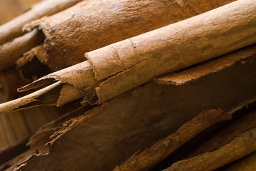 &Eacute;corces du canneliers (Cinnamomum sp.) ou cannelle