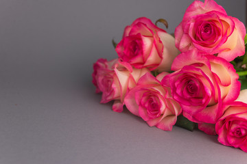 Bouquet of roses on grey background. Close up of flowers. Concept of Mothers Day, 8 March, Women’s Day. .