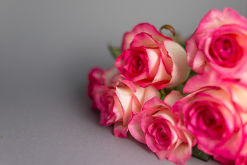 Bouquet of roses on grey background. Close up of flowers. Concept of Mothers Day, 8 March, Women’s Day. .
