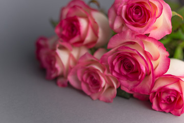 Bouquet of roses on grey background. Close up of flowers. Concept of Mothers Day, 8 March, Women’s Day. .