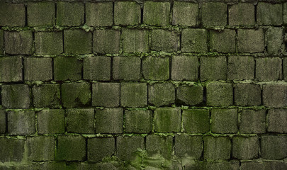 old brick wall with moss and lichen