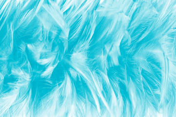 Obraz premium Beautiful green turquoise vintage color trends feather pattern texture background