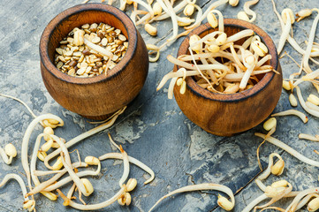 Sprout whole mung dal