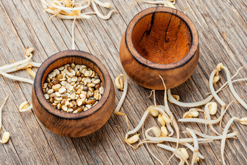 Mung beans on wooden table