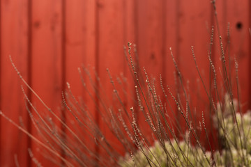 Red wooden wall of a Norwegian cabin or barn