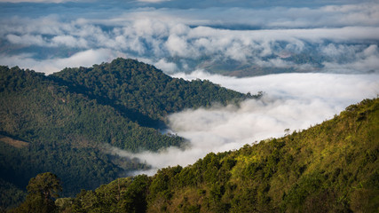 View of sea of mist at Doi Pha Tang in the morning in Chiang Rai, Thailand.