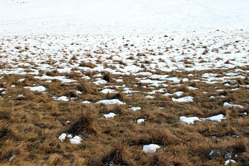 Border of snow covering background