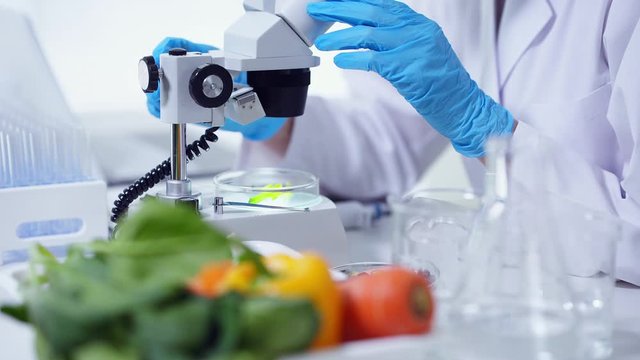 食品と科学