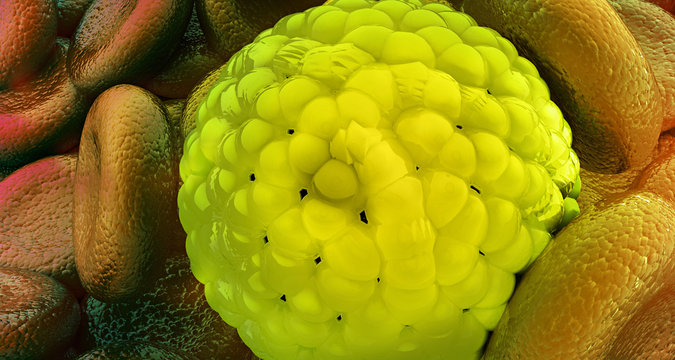 Microscopic view of deadly Coronavirus. 3d illustration.