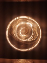 bulbs photo by pankaz photography