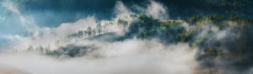 Banner of beautiful misty and foggy morning in golden hour on a peaceful meadow.