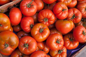 fresh tomatoes on branch in wicker baskets on counter
