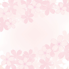 Obraz na płótnie Canvas background illustration of cherry blossoms