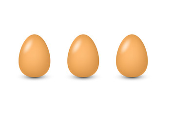 Brown realistic 3d eggs isolated vector illustration