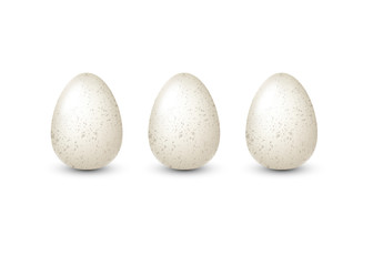 White realistic quail eggs with speckles. Vector illustration.