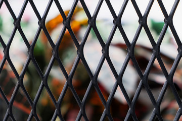 Fototapeta premium Texture of steel diamond shape grill cage fence with unfocused green red and yellow leaves behind it.