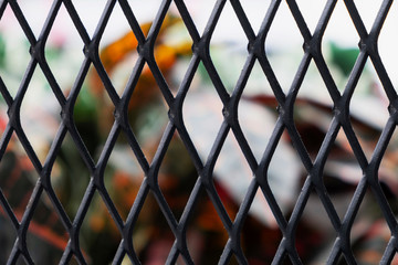 Texture of steel diamond shape grill cage fence with unfocused green red and yellow leaves behind it.