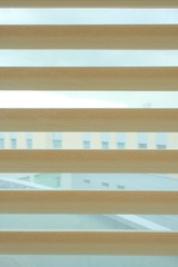 Window with roll blinds.