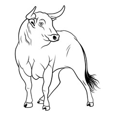 Black Bull. linear illustration. Isolated vector illustration on white background