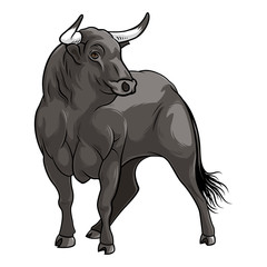Black Bull. Isolated vector illustration on white background