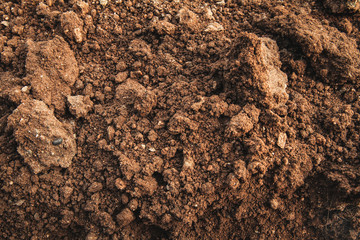 texture of dry soil