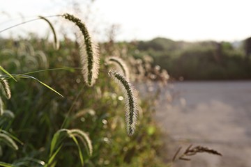 여행중에찍은사진
