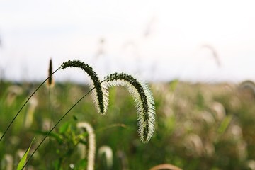 여행중에찍은사진