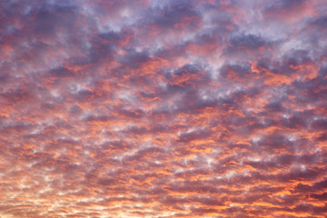 The sunset or sunrise. The cloudy sky cloured in red, orange, rose, scarlet, crimson, purple,...