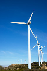 Fototapeta premium Wind energy concept