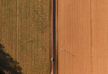 Abstract fields top down view. DRONE view from above of rows of sugar cane planted on farm, trees, green forest, road, valley. Green and orange. Shot in Walsh's pyramid, Carins, Australia.