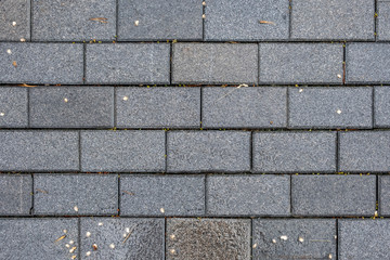 Paving slab texture background. Wet gray paving slab after the rain.