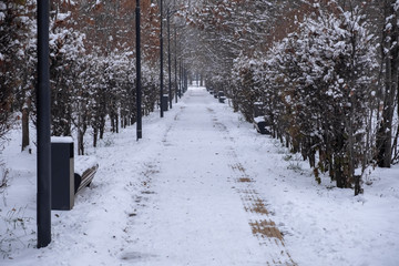 Naklejka premium Zimowy śnieg do projektowania stylu życia. Zimna śnieżna pogoda. Zimowy spacer. Zima, grudzień. Tło sezonowe.