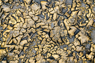 Parco della Golena del Po (Emilia)