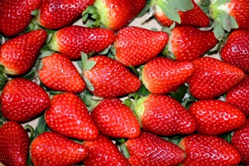 fresh healthy and delicious strawberries