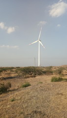 wind turbines in the field