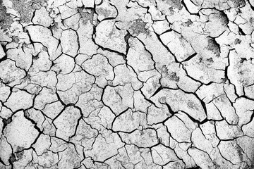 Parco della Golena del Po (Emilia)