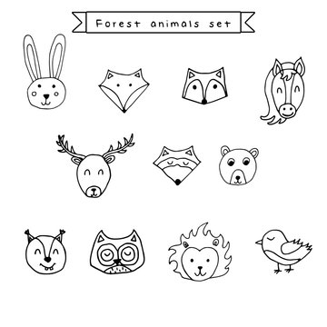 Cute animals hand drawn faces collection on white background: forest animals isolated on white background.