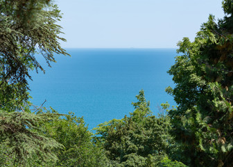 Fototapeta na wymiar Turquoise bright background sea through the trees
