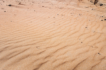 Beautiful sand dunes in desert