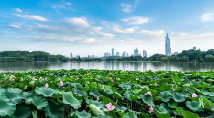 Fototapeta na wymiar Xuanwu Lake in Nanjing and the skyline of urban architecture..