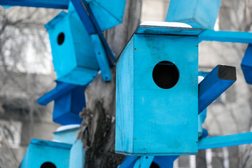 Many bright colored birdhouses on a tree at city. Closeup photo of birdhouses. Bird hotel.