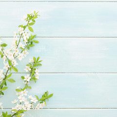 Cherry branch with flowers on mint background
