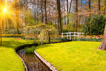 Obraz premium Spring landscape. Sun rays shining on a meadow flowers. garden in spring
